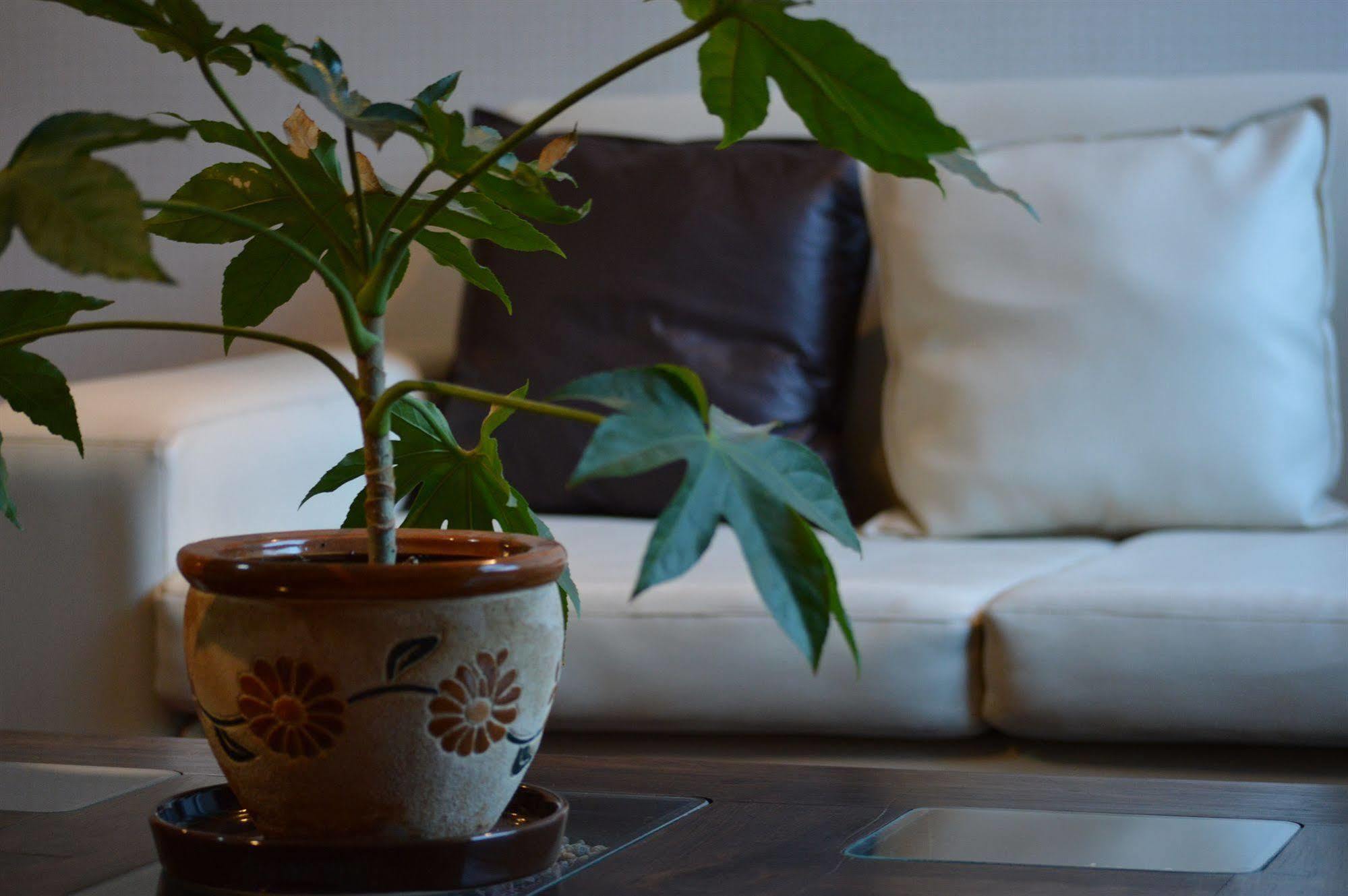Chileapart 산티아고 외부 사진